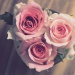 Hadiah Pernikahan untuk Sahabat Wanita yang Berkesan dan Personal
